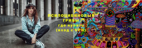 сатива Богданович